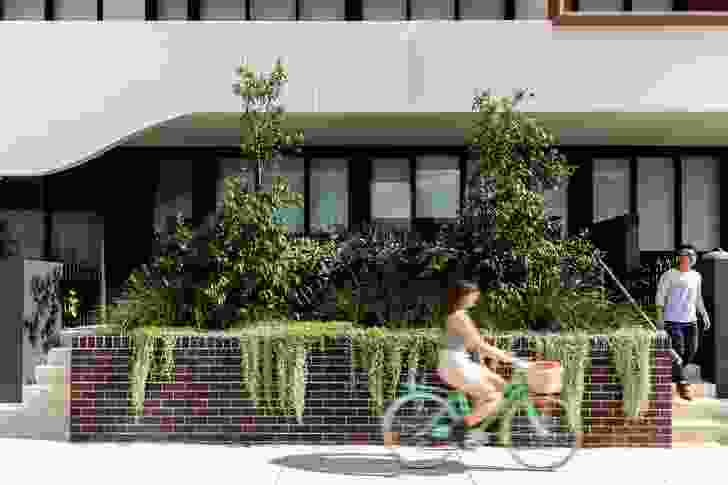 Raised planters at street
level extend the internal planting scheme and
provide visual interest to
the building’s facade.