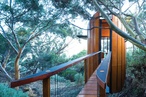 Towering ideas: Tree Top Studio