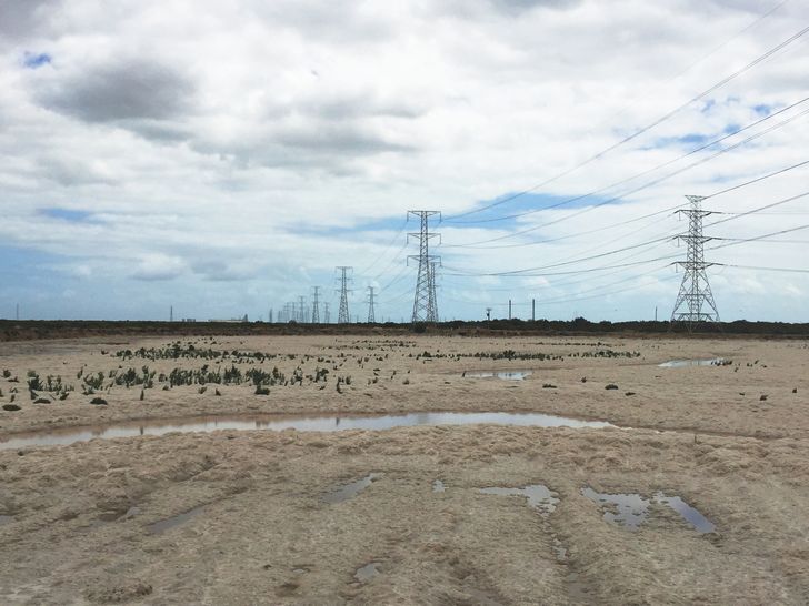 The salt pans in January 2015, pre-construction.