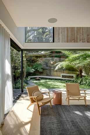 A clerestory window frames a view of the tree canopy.