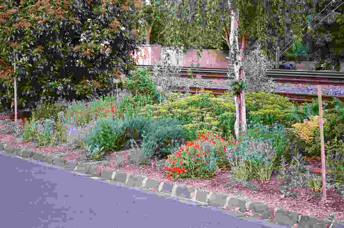 The unofficial garden in spring 2014.