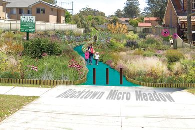 Urban Micromeadows by Abinaya Rajavelu, Sarah Reilly and Elise O’Ryan (Cred Consulting), winner of best open space idea.