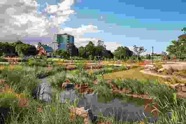 Hanlon Park / Bur’uda Waterway Rejuvenation by Brisbane City Council, Tract, Bligh Tanner, Epoca Constructions and AECOM