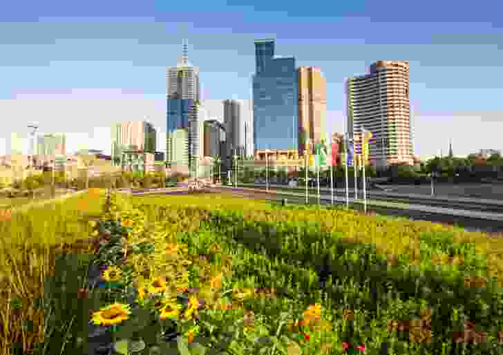 In 2013, the City of Melbourne capitalized on the disturbance resulting from WSUD works at Birrarung Mar to create a temporary and vibrant flower meadow.