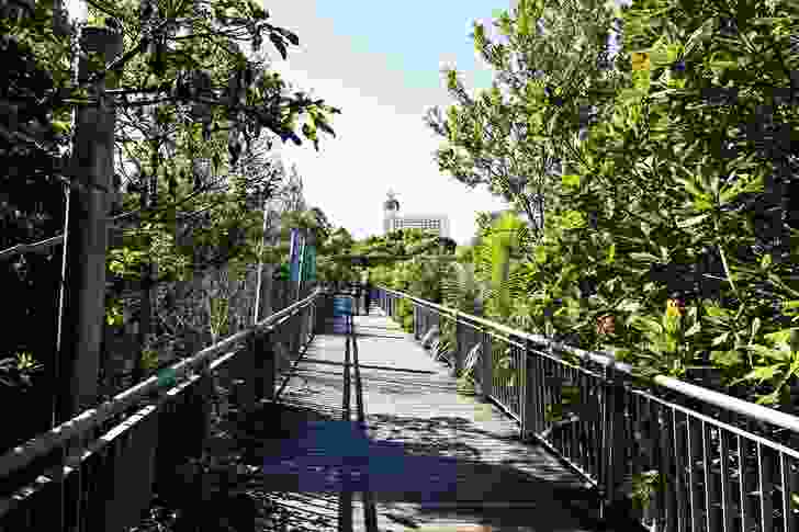 This elevated walkway not only provides a connection across the parkland, but also a lookout over the water.