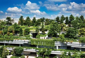 Vegetation forms an integral part of Kampung Admiralty’s envelope, mitigating the urban heat island effect and softening the building’s profile.