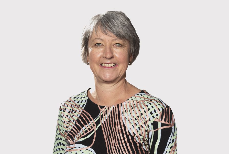 Robyn Dowling, appointed as head of school and dean of the University of Sydney’s School of Architecture, Design and Planning. 