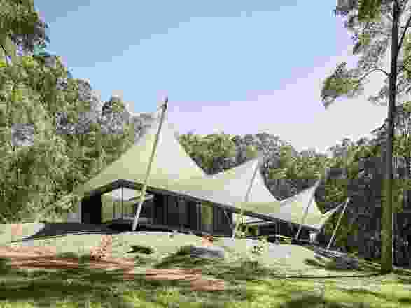 The fluid curves of the canopy structure sit within a small clearing, surrounded by a forty-metre-tall vestigial landscape.