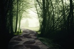 Dark Fairytale carpets from Brintons