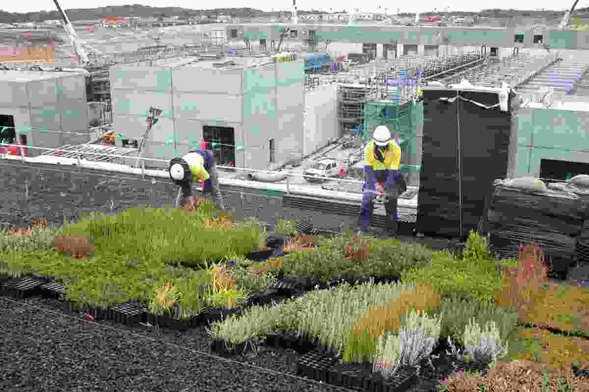 Victoria Desalination Project Green Roof by Aspect Studios.