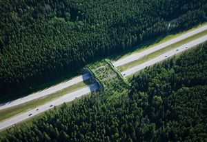 The animal crossing overpass in Banff National Park, part of the Yellowstone to Yukon Conservation Initiative.