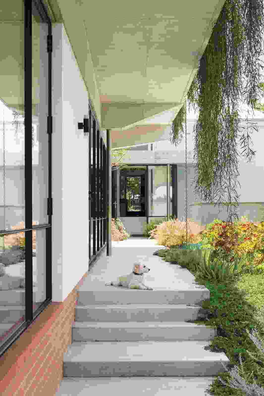‘An armature of experiences’: Reed House | ArchitectureAu