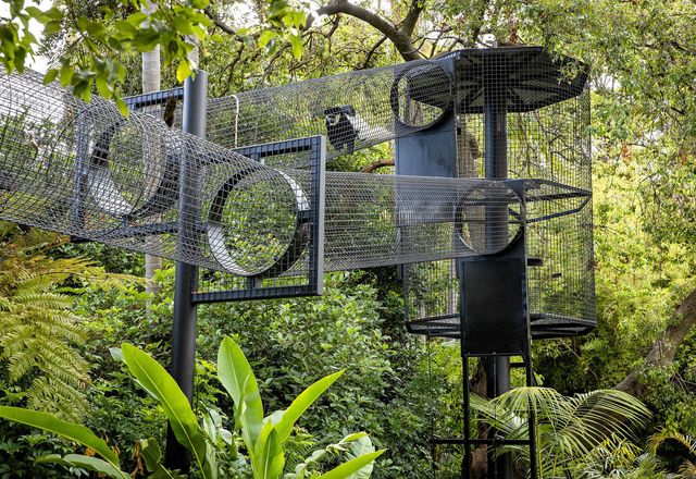 The Colobus Sky Trail by Wax Design at Adelaide Zoo.