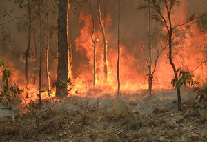 ‘It’s not about architects having solutions’: Kim Irons on architecture after the fires