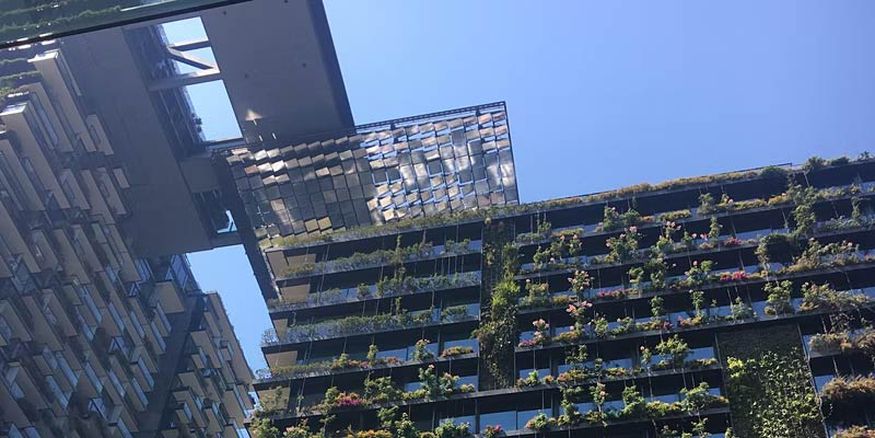 Chippendale Walk | ArchitectureAU