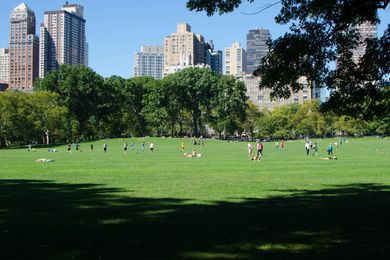 People gather in Central Park, New York.