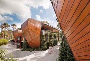 Timber canopies at Darling Quarter, Sydney, by fjmt.