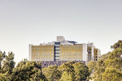 Campbelltown Hospital western facade among the treetops.