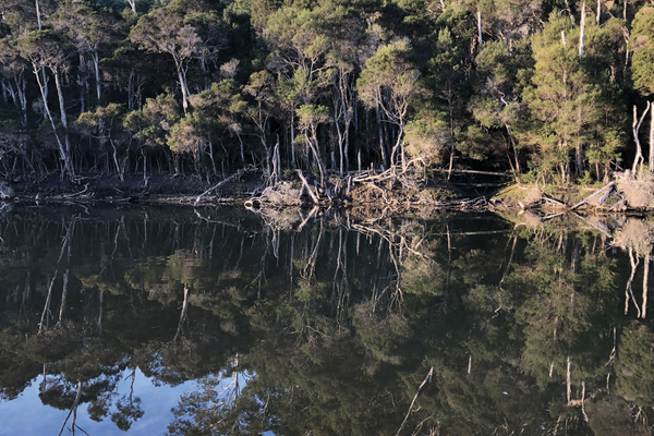 The Lake Tyers (Bung Yarnda) Camping and Access Strategy (LTCAS) was undertaken as a joint management project between Parks Victoria and Gunaikurnai Land and Waters Aboriginal Corporation and encourages understanding of culture and Country in the design of a natural landscape.