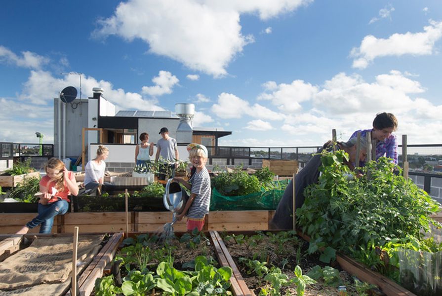 Rooftop garden at the Commons apartments in Melbourne by Breathe Architecture. 
