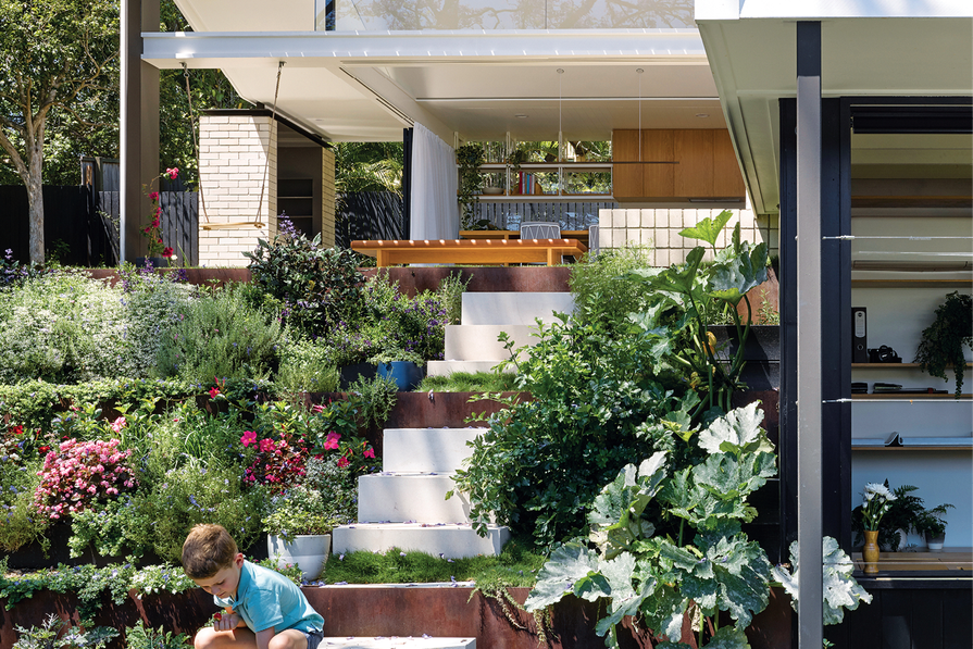 A verdant reimagining: Jacaranda House | ArchitectureAU