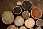 Woodcare colour wheel
