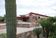 The designed plantings at Taliesin West are not only drought-tolerant, but largely drought-proof, meaning they can survive on almost no water.