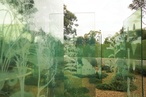 History and herbs: Janet Laurence’s glass garden