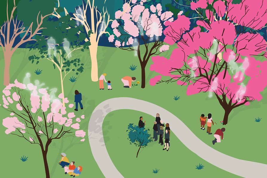 'Memory forests' have the potential to provide significant social, ecological and health benefits to urban areas.