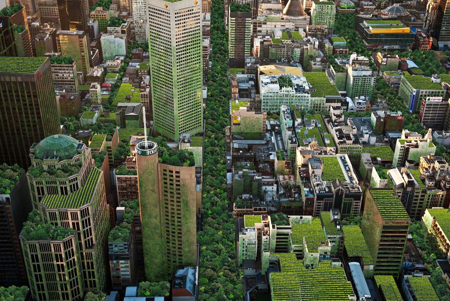 The City of Melbourne's Urban Forest Strategy could be copied in other urban areas across the country, in a project proposed by the 202020 Vision initiative.