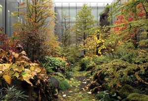 Autumn at Home of FIFA: planting registers ongoing growth, seasonality and change.