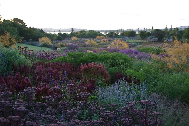 piet oudolf landscapes piet oudolf landscapes