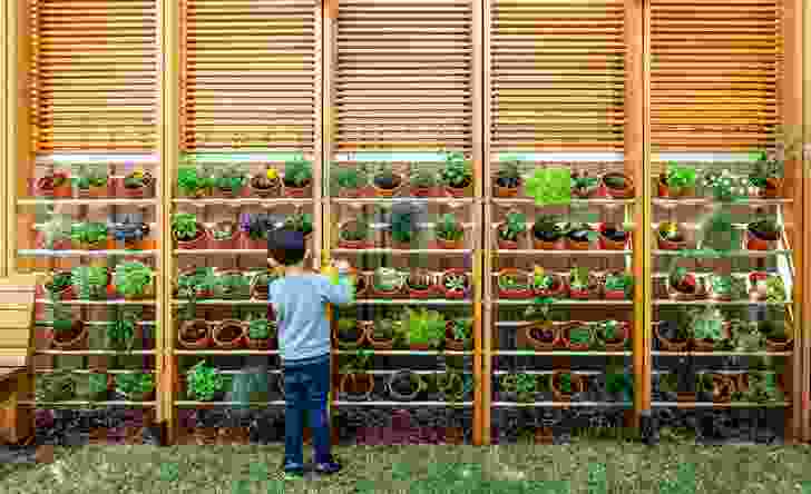 Responding to the client’s enthusiasm for cooking, a vertical herb garden has been seamlessly integrated into the pergola design.