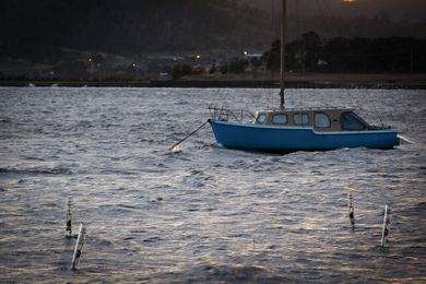 Amphibious Architecture is installed in Hobart's Derwent estuary – its rather inconspicuous poles bob up and down with the swell. 