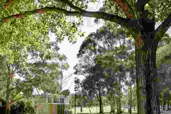 The building is carefully located between trees along an existing path