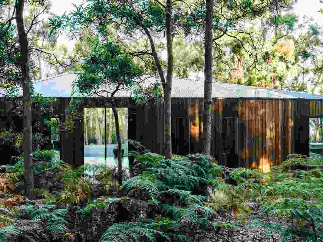 The house appears as an elemental built form among dense forest and undergrowth.