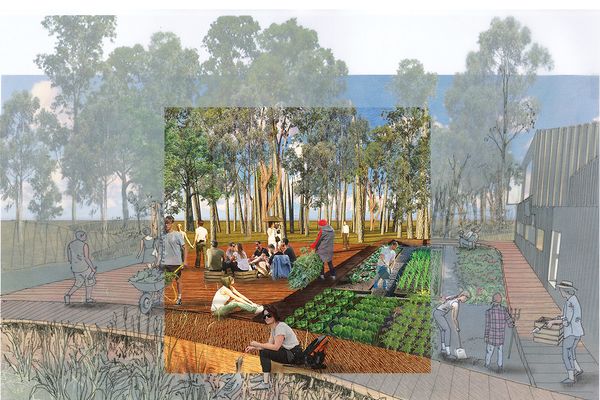 The design aims to reduce depression and loneliness and increase patients’ self satisfaction by connecting them to the soil and the process of growing food.