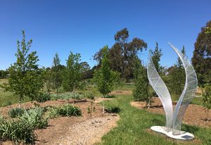Initial planting at South Highlands Botanic Gardens, Bowral.