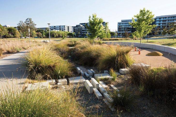 Harnessing a wild aesthetic: Hassett Park | Landscape Australia