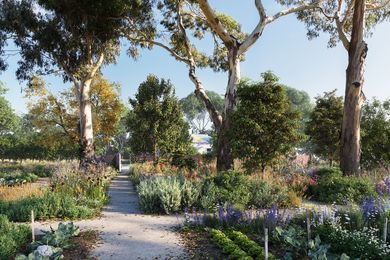 The proposed Healing Garden at Heide Museum of Modern Art by Openwork.