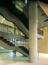 Stair connecting the communal spaces of
the podium. 