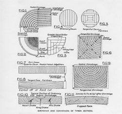 “The shrinkage and conversion of timber sections”, one of many technical pieces to be published in the journal’s pages. Architecture, June 1934.