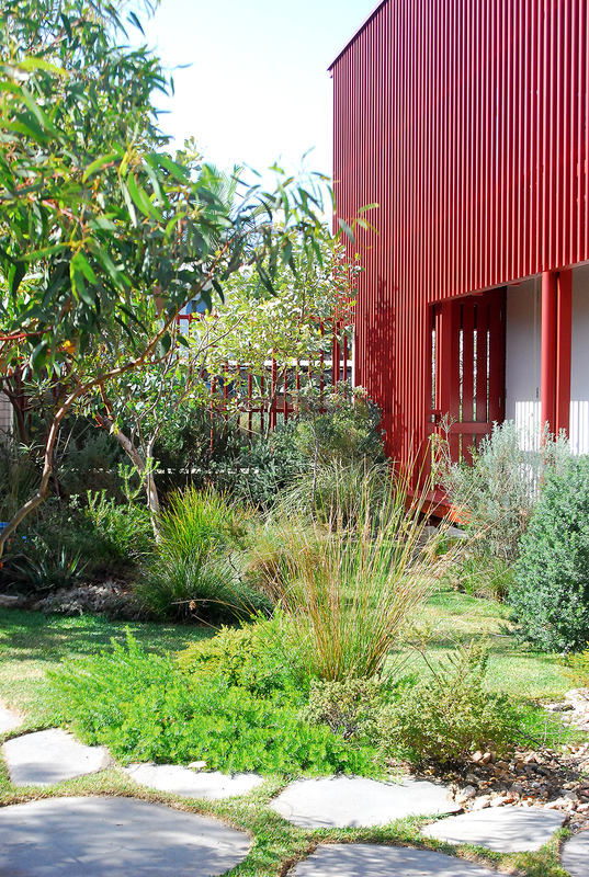 The garden is filled with native plants that thrive in the salty, sandy coastal environment.