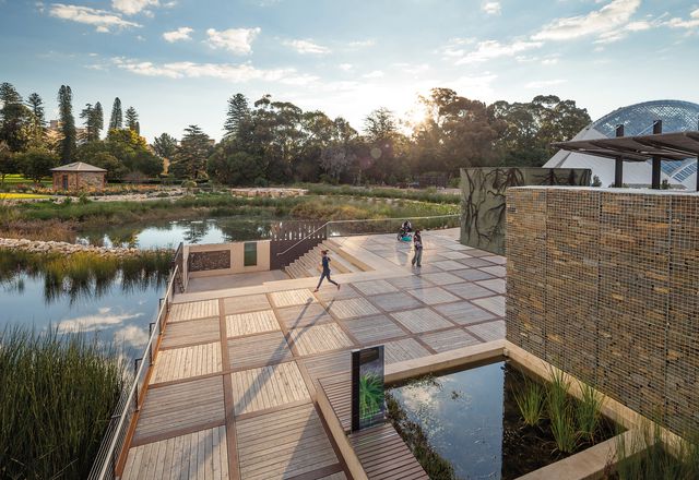 Adelaide Botanic Garden First Creek Wetland by TCL.
