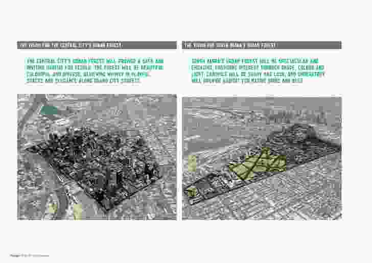 Melbourne’s Urban Forest Strategy. 