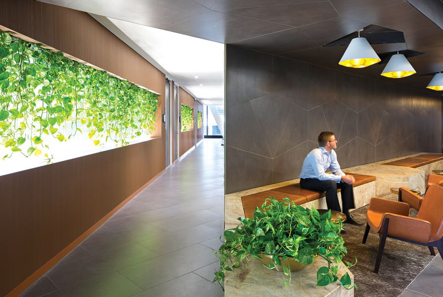 Plants are strategically used within a warm palette of timber, stone and leather.