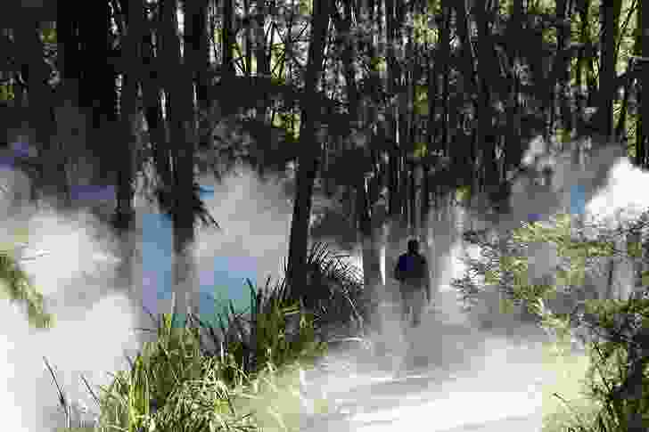 Fujiko Nakaya’s fog sculpture generates 
a fine mist over the marsh pond and surrounding plantings.