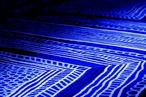 Design Collective: art carpet series
