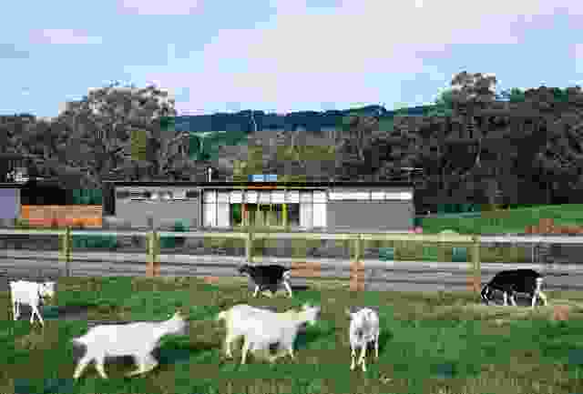 The project grew into a full masterplan that included future business plans for becoming makers of goats’ cheese.