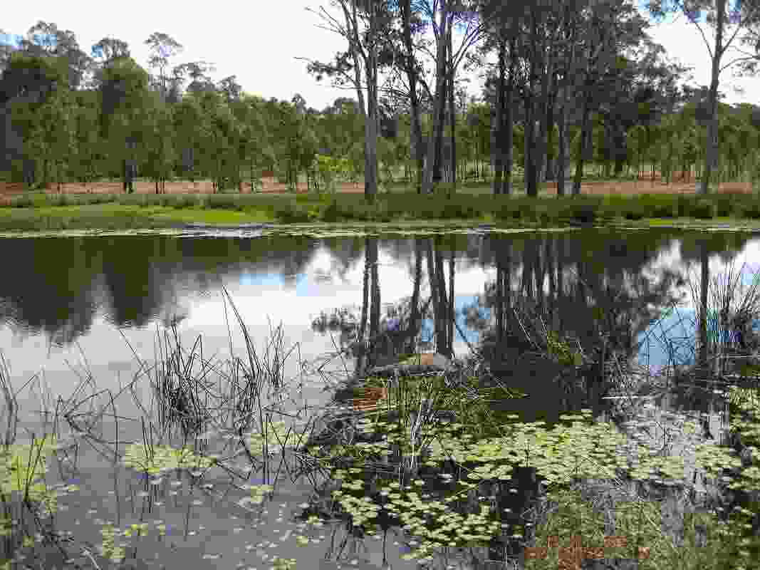 Wianamatta Regional Park Masterplan by Environmental Parnership NSW.